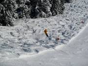 Un po' di neve fresca c'è sempre