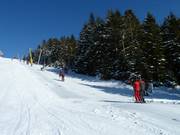 Bühlertallift 1 - Skilift con T-bar/ancora