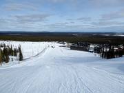 Pista Aleksin Rinne (n. 8)