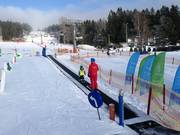 Fox park pás F2 - Tapis roulant/Tappeto Magico