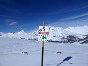 Zone di protezione forestale e faunistica