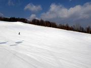 Pista facile e larga Family