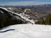 Pista di gobbe a Beaver Creek
