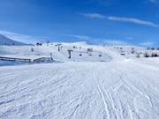 Pista Skrållan Nr. 10