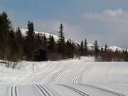 Le piste da fondo partono dal Gaustablikk Høyfjellshotell