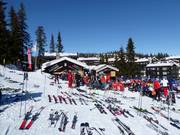 Suggerimento su Après-Ski Koia