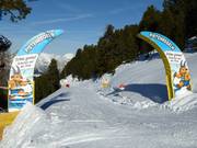 Sentiero delle regole delle piste di Pitzi