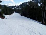 Pista preparata al Cypress Mountain