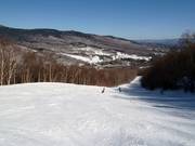 Ampia discesa tra radure boschive
