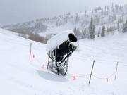 Innevamento a Snowbasin