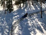 Suggerimento per i più piccoli 