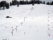 Forêt - Skilift a piattello