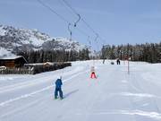 Drachenlift 2 - Skilift a piattello