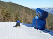 Suggerimento per i più piccoli 