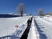 Tappeto mobile nella bodmiARENA