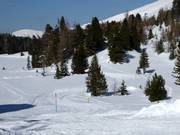 Pista da fondo Schwarzsee-Hochmoor