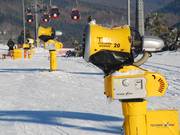 I cannoni sono particolarmente ravvicinati lungo la pista accanto alla funivia.