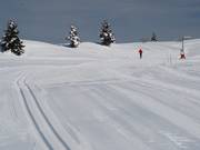 Spazio sufficiente per classico e skating