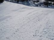 Solo raramente si incontrano tratti un po' irregolari