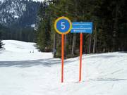 Segnaletica delle piste a Balderschwang