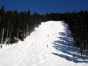 Ampia pista di gobbe