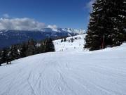 Facile discesa per famiglie