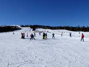 Pista facile presso lo skilift per principianti (skilift a fune)