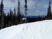 Dalla Moonlight Run si diramano cinque piste