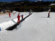 Zauberteppich Högerfeld - Tapis roulant/Tappeto Magico