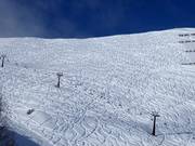 Tracce nella neve fresca nella parte superiore dell’area sciistica