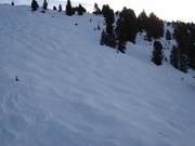 Pista di gobbe sulla Rosenalm