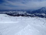 Pista intermedia Wonderland (Nseko Village)