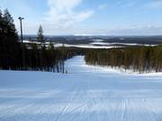 Pista intermedia W.2