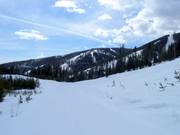 Vista dalla Black Forest verso la Tamarack Ridge