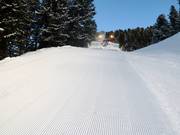 Pistenbully al lavoro