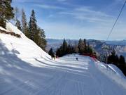 Discesa Dosso Larici