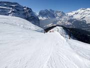 Discesa della Coppa del Mondo Lauberhorn