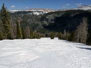 Tipica discesa nel bosco a Winter Park