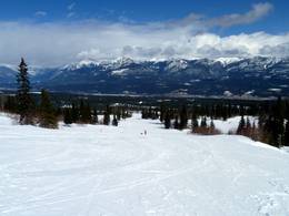 Kicking Horse - Golden