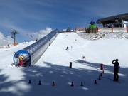 Suggerimento per i più piccoli 