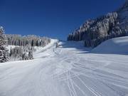 Un sogno per i carving