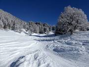 Itinerario sciistico n. 20 Chapf Talabfahrt