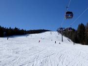 Pista facile 2 presso la cabinovia a 10 posti Kreischberg