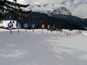 Qui i bambini possono imparare i cartelli informativi