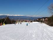 Discesa a valle molto facile Ski road №1