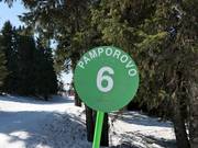 Segnaletica delle piste