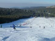 Pista da sci al Mehliskopf