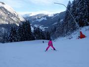 Facile discesa panoramica