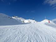 Vista sulla cima Coronet Peak
