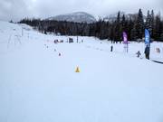 Pista di esercitazione con tappeto roulant